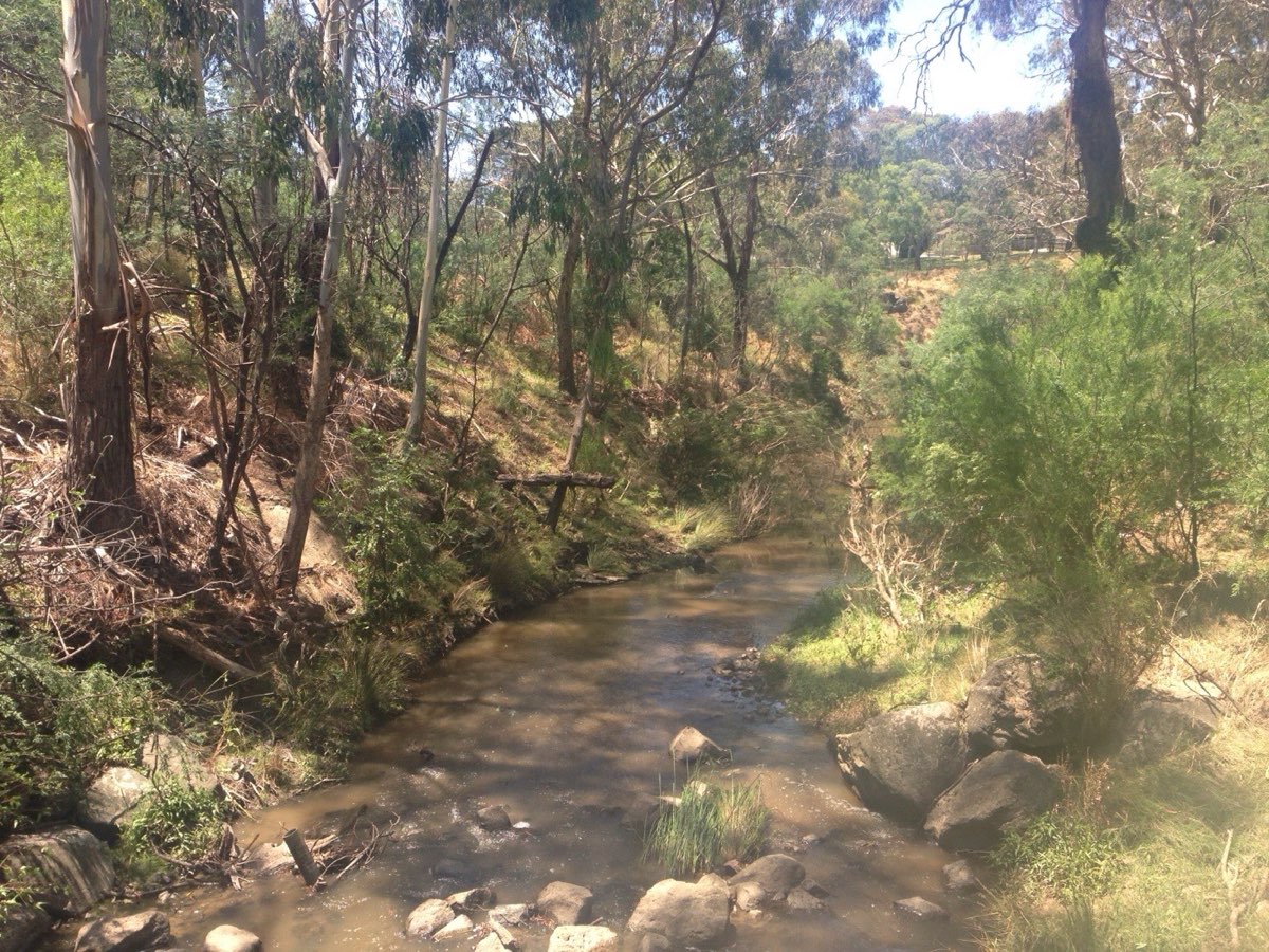 The Plenty River winding through bush along the Plenty River Trail at Montmorency