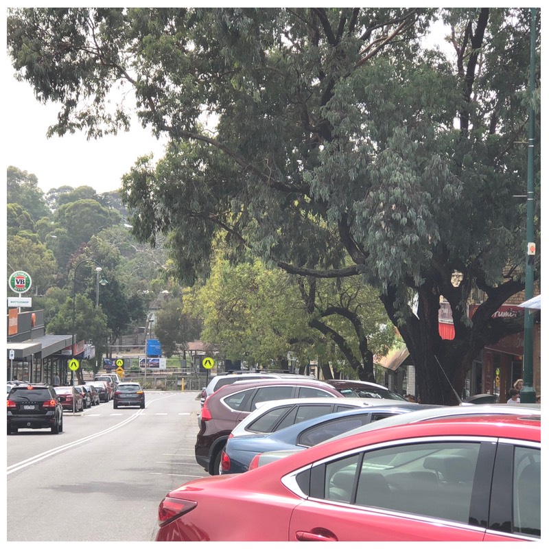Shops and cafes along Were Street, Montmorency, under a large gum tree
